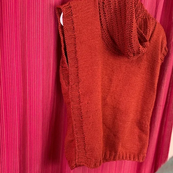 Hand Knit Cowl Neck Sweater in Rich Rust - Picture 4 of 4